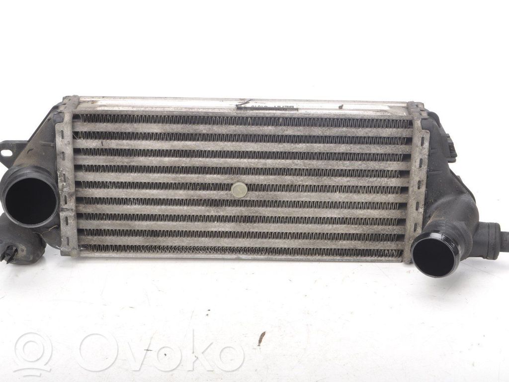 Mini One - Cooper R50 - 53 Interkūlerio radiatorius 
