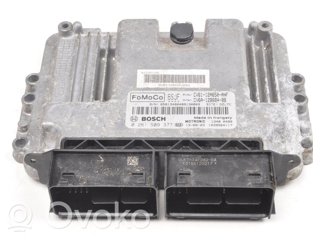 Ford Focus Engine control unit/module ECU 