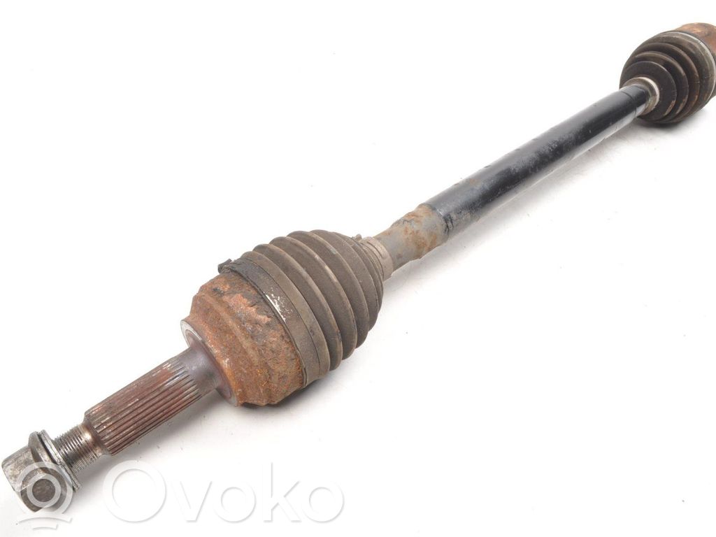 Aizmugurējā pusass   100771901A