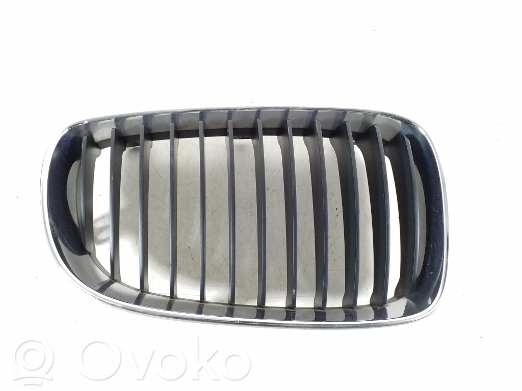 Kühlergrill   51137179656