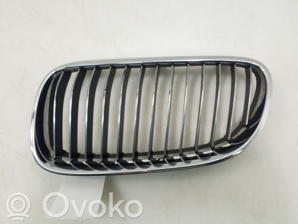 BMW 3 E92 E93 Bonnet/hood grill 