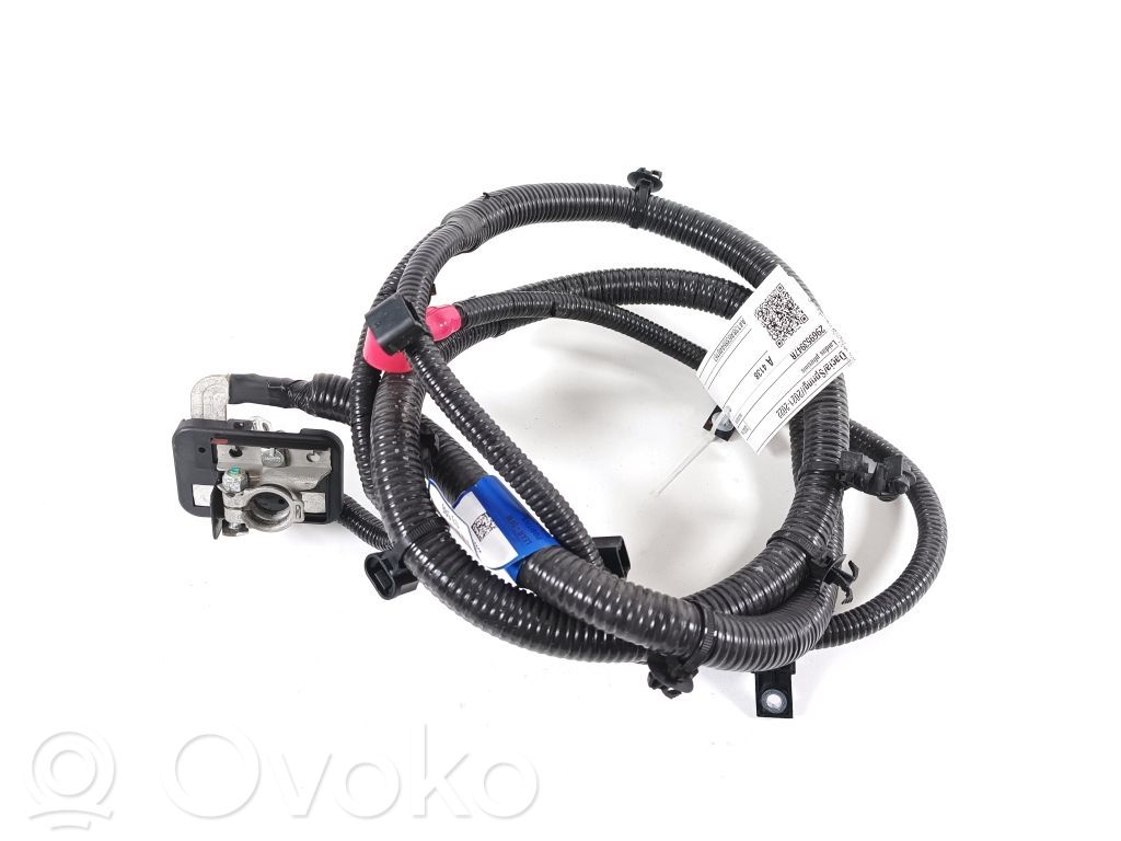 Pluskaapeli (akku)   296953947R