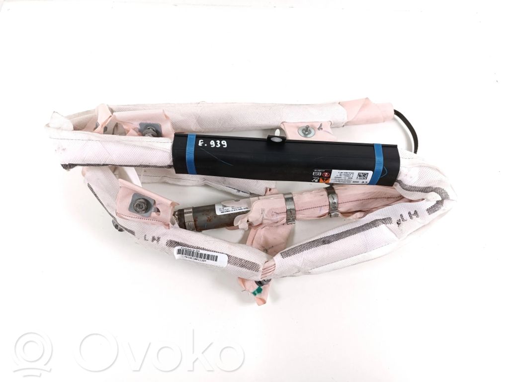 Airbag del techo   100526100D