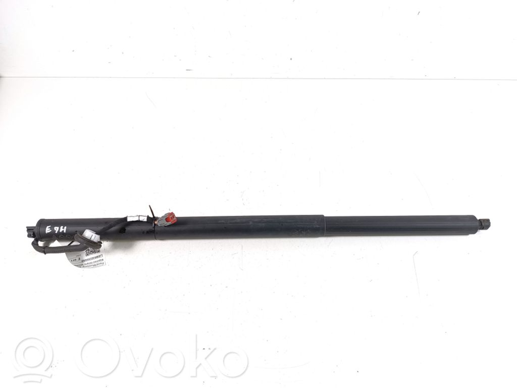 Ford Mach-E I Tailgate strut 
