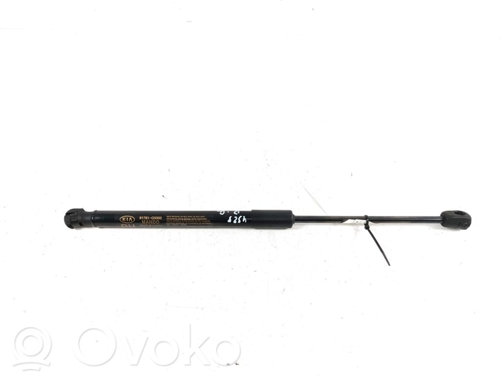 KIA Niro Tailgate strut 