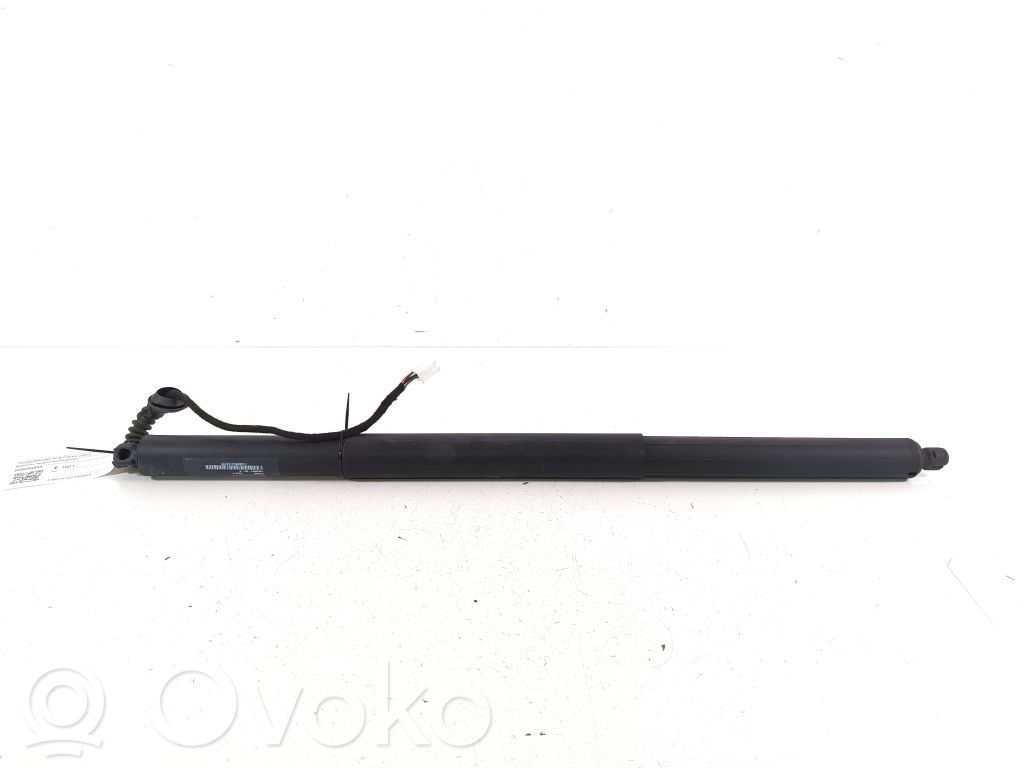 Tailgate strut   106566400A