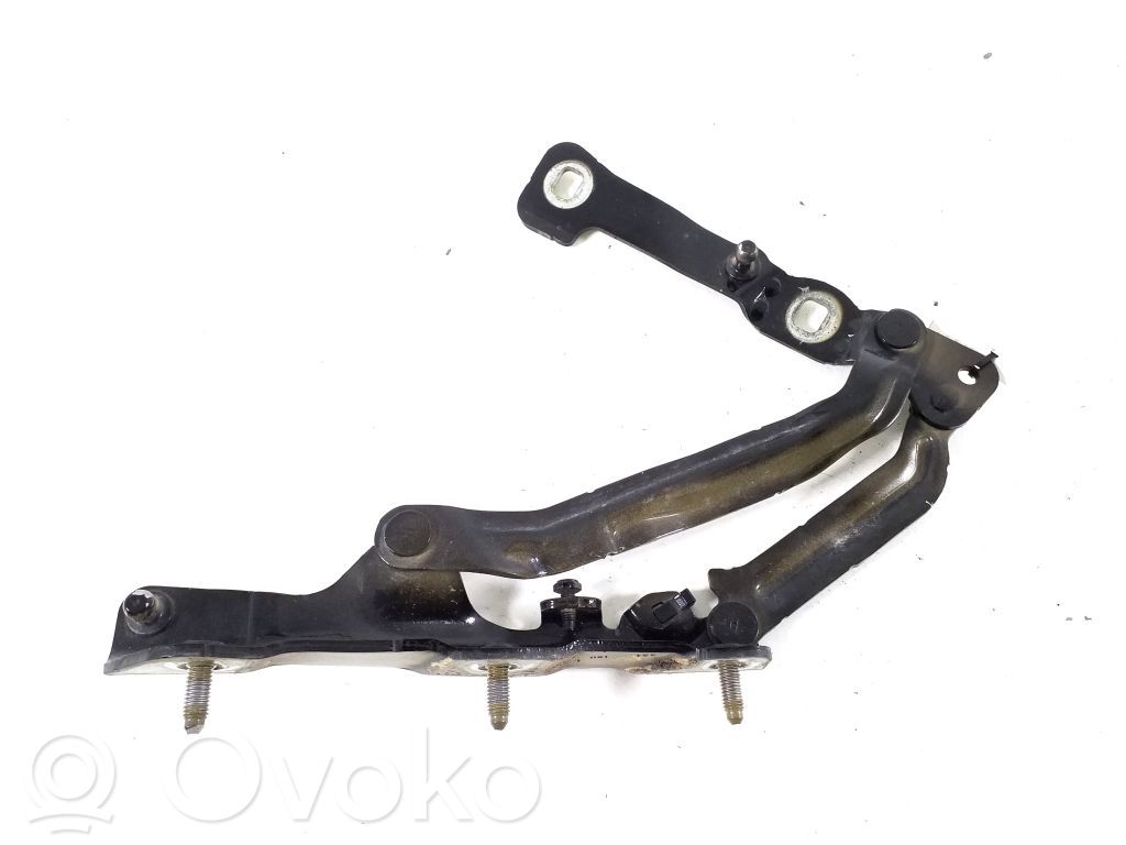 Tesla Model 3 Tailgate/trunk/boot hinge 