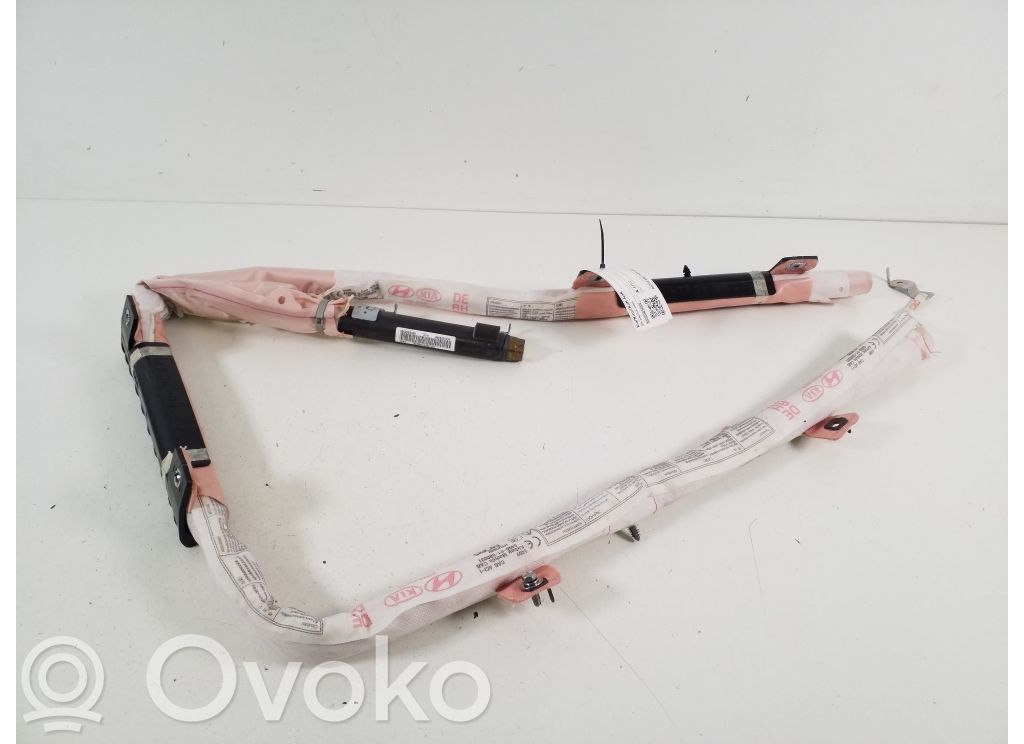 KIA Niro Airbag del techo 