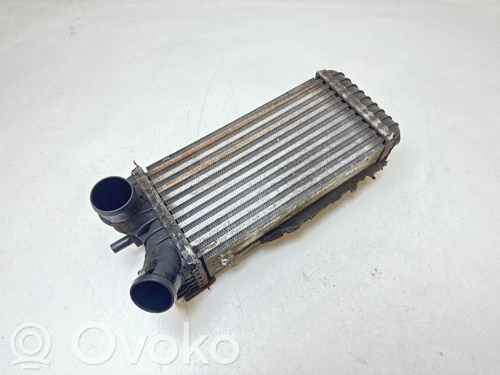 Intercooler radiator   T7052004,2010110039