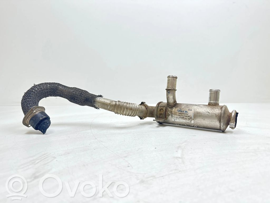 Ford Focus EGR-venttiili/lauhdutin 