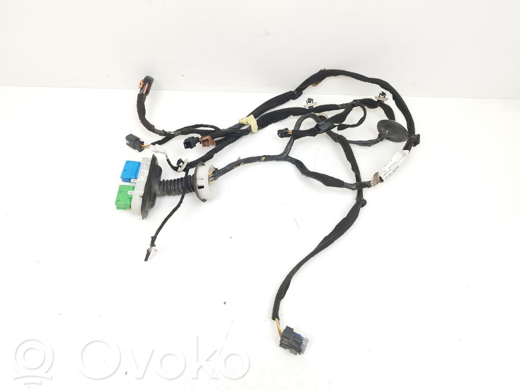 Cableado de puerta delantera   9801371680,007406,55VYDA004