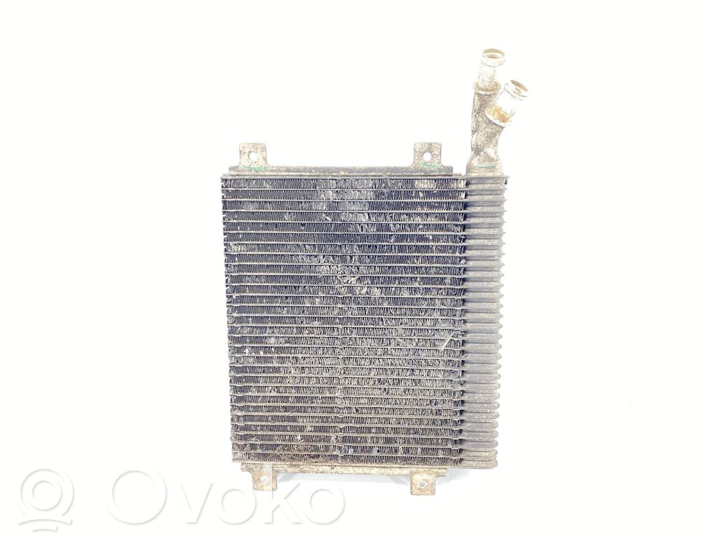 Jaguar XF X250 Coolant radiator 