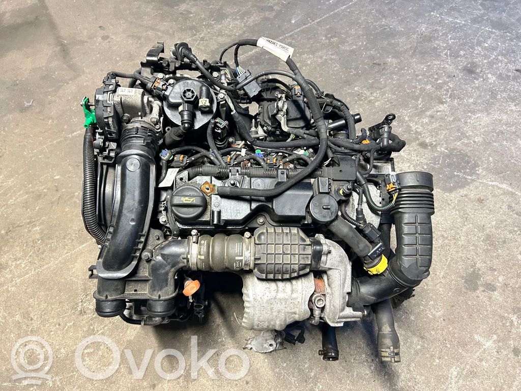 Motor   DV6FD,BHY,9810542980