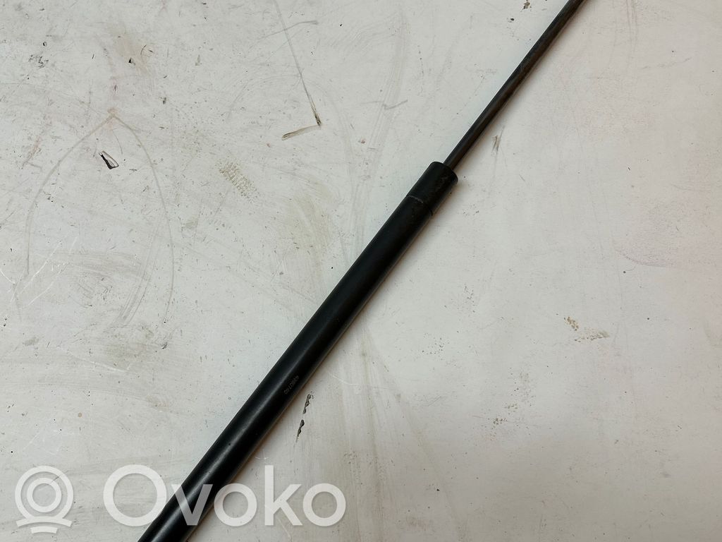 Siłownik maski przedniej   4360740,0290N07305