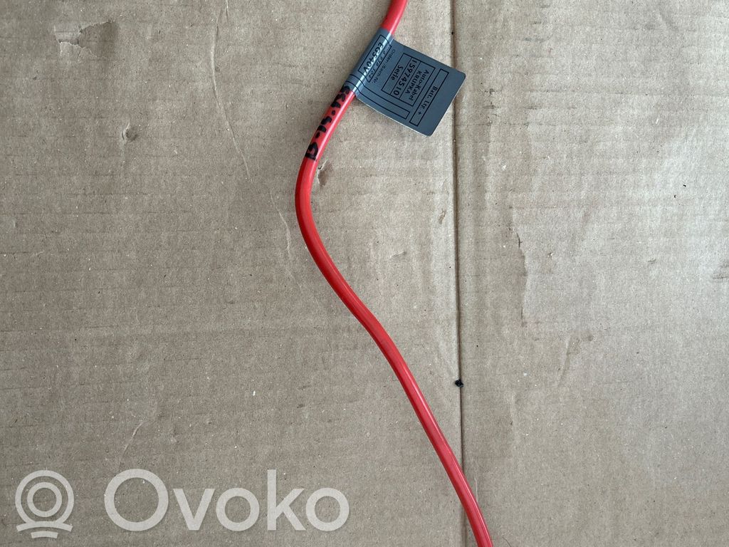 Plusa vads (akumulatora)   6938504,EG540V,15974510