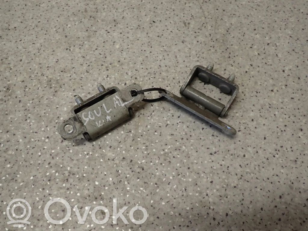 Tailgate/trunk/boot hinge