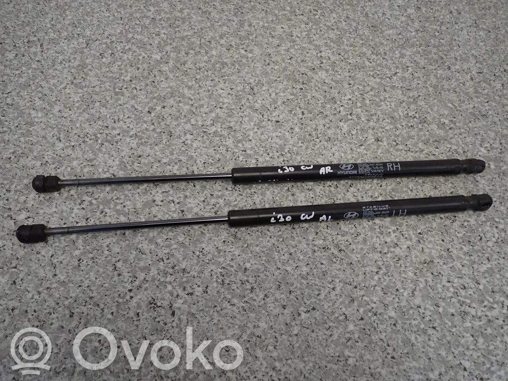 Tailgate strut   817802L201