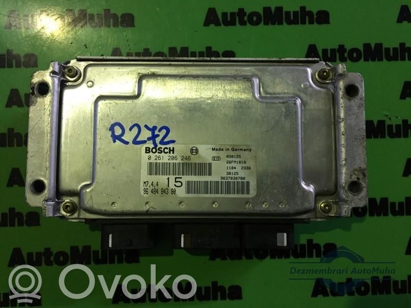 Engine control unit/module ECU   0261206246,9648484380,M74415