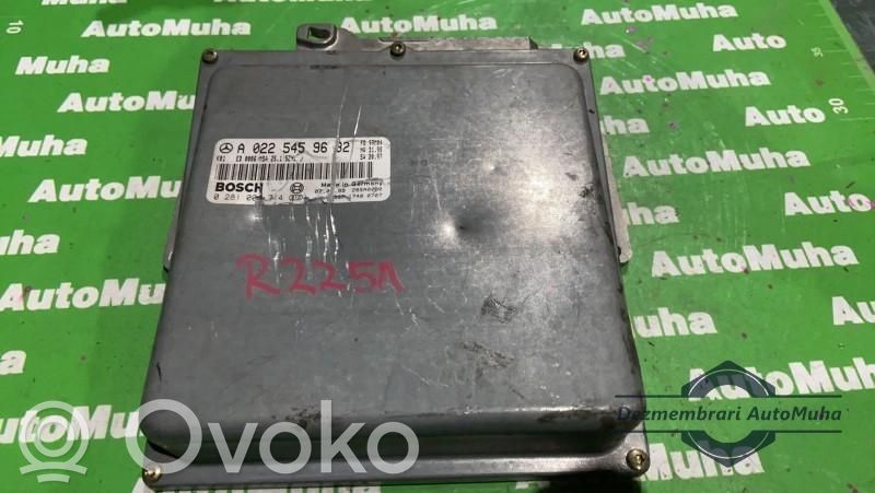 Mercedes-Benz E W210 Engine control unit/module ECU 