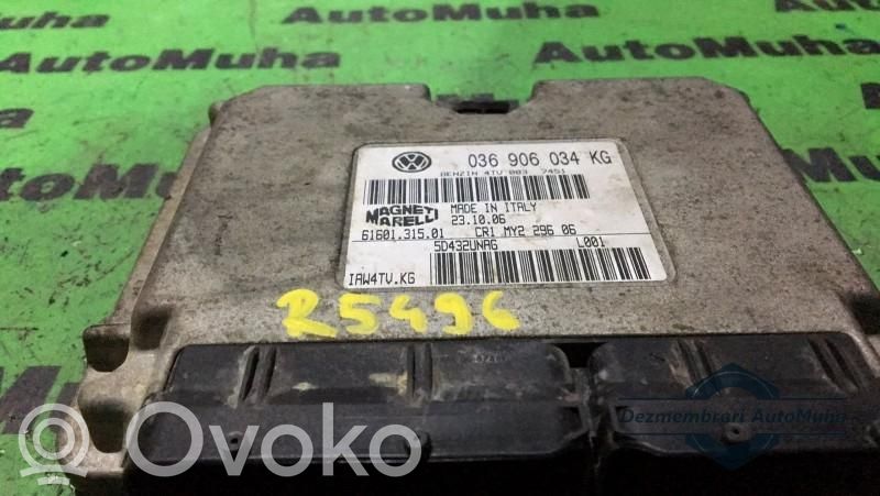Engine control unit/module ECU   036906034KG,6160131501