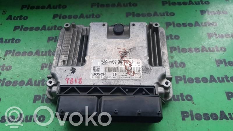 Seat Altea Engine control unit/module ECU 