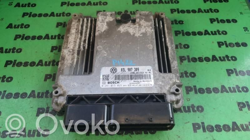 Engine control unit/module ECU   0281015029,03L907309