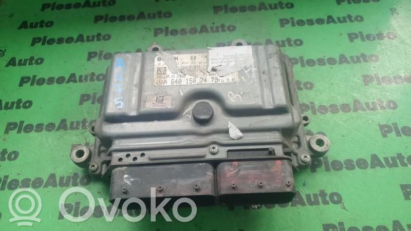 Engine control unit/module ECU   0281013024,A6401507479