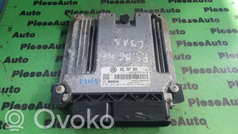 Engine control unit/module ECU   0281015029,03L907309