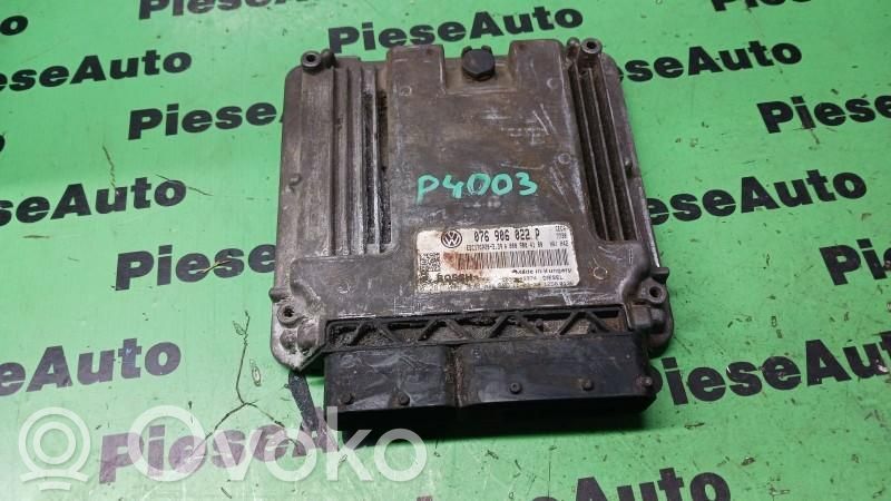 Engine control unit/module ECU   0281016819,076906022P