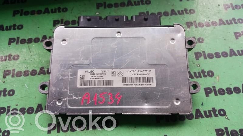 Engine control unit/module ECU   0117007318,9666909780,V29006828A