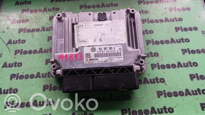 Engine control unit/module ECU   0281016949,03L907309Q