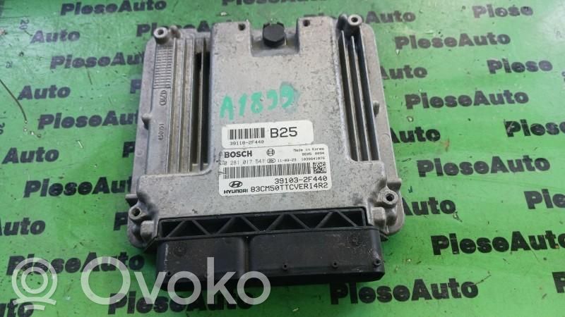 Engine control unit/module ECU   0281017541,391032F440