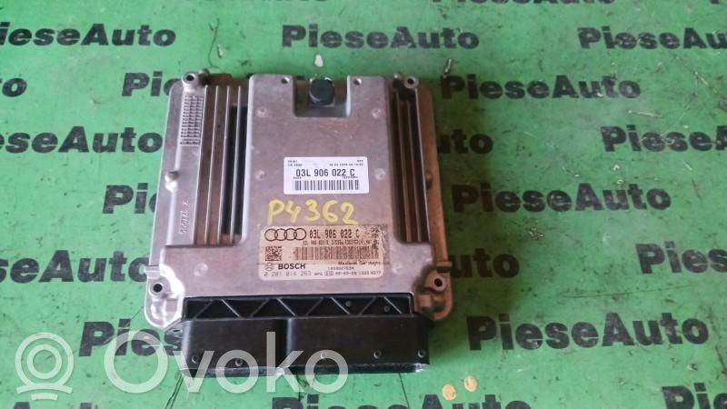 Engine control unit/module ECU   0281014263,03L906022C