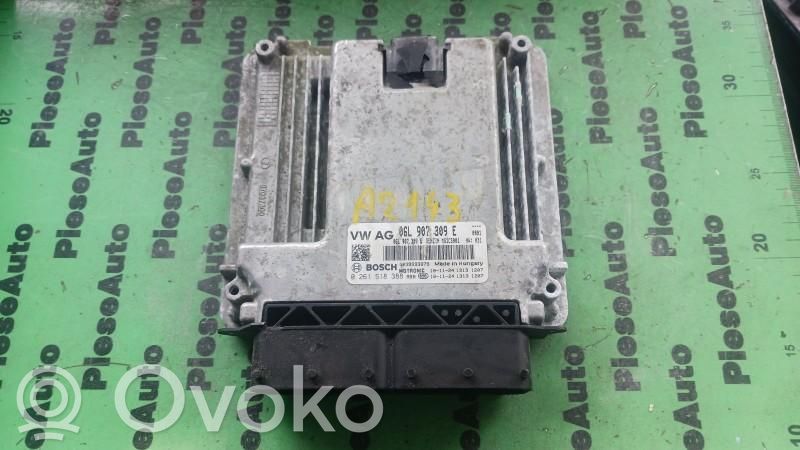 Engine control unit/module ECU   0261S18388,06L907309E