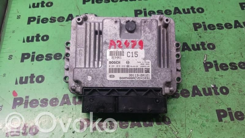 Engine control unit/module ECU   0281016430,391132A121
