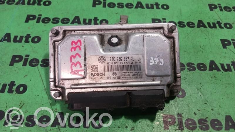 Engine control unit/module ECU   0261201666,03C906057AL