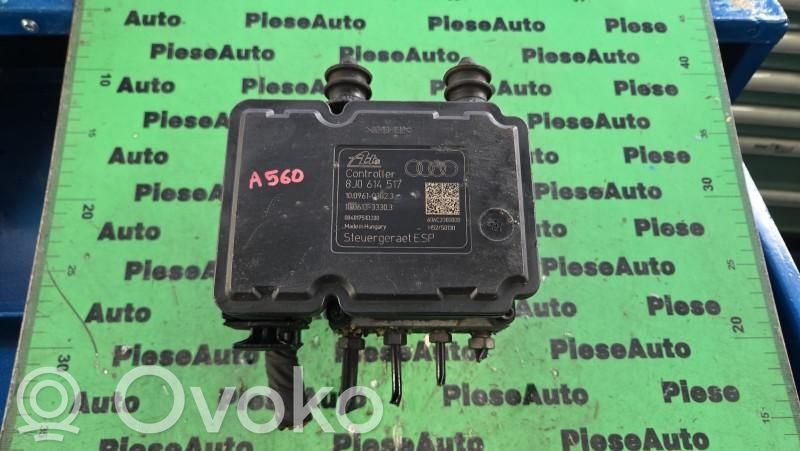 ABS Pump   10021200154,1002120154,10061333303,10096103023,8J0614517