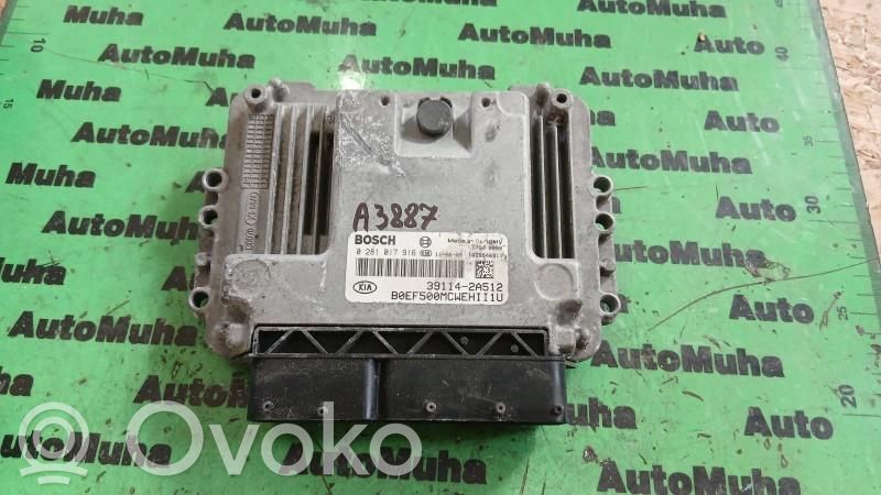 Engine control unit/module ECU   0281017916,391142A512