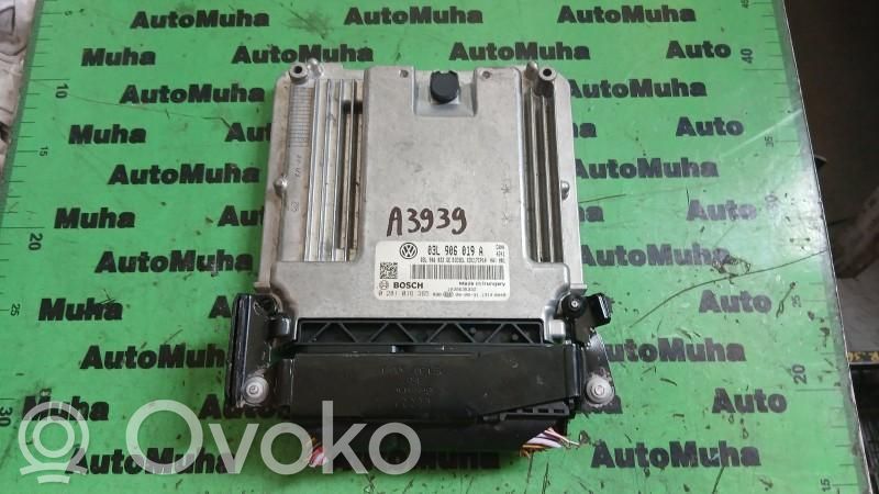 Engine control unit/module ECU   0281016365,03L906019A