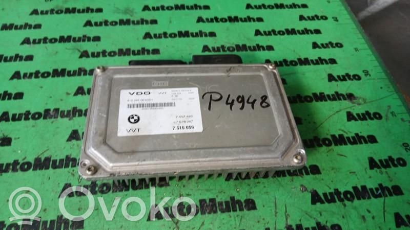 Engine control unit/module ECU   7507493,7516207,7516809