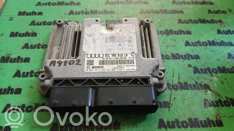 Engine control unit/module ECU   0281017645,03L906018LA