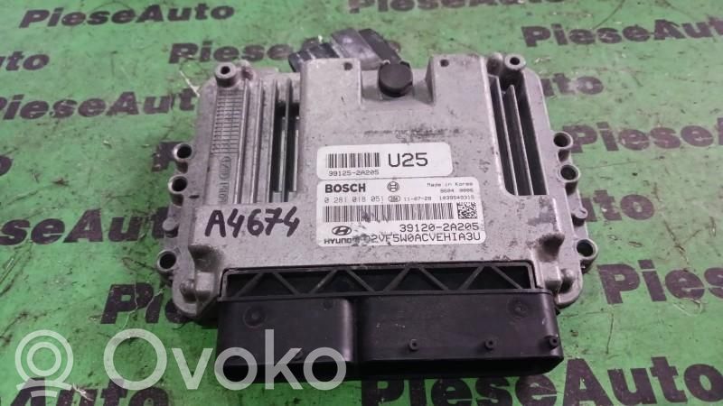 Engine control unit/module ECU   0281018051,391202A205