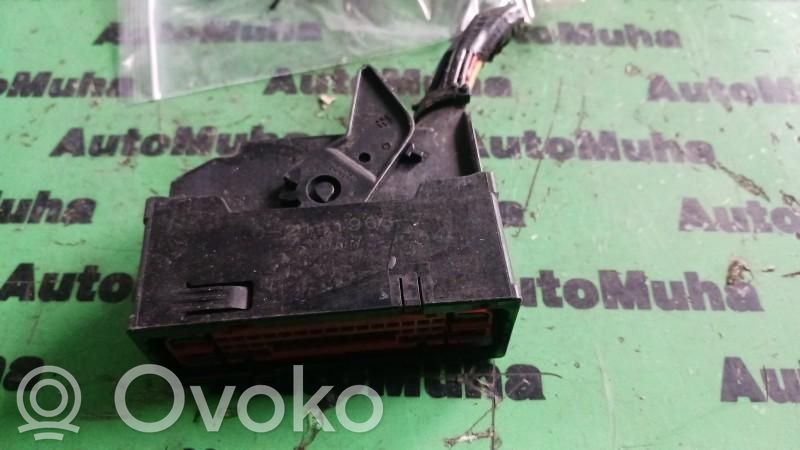 Plug wire   F1FC2C219BC