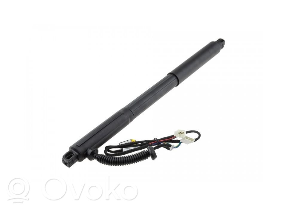 BMW X5 E70 Tailgate/trunk strut/damper 
