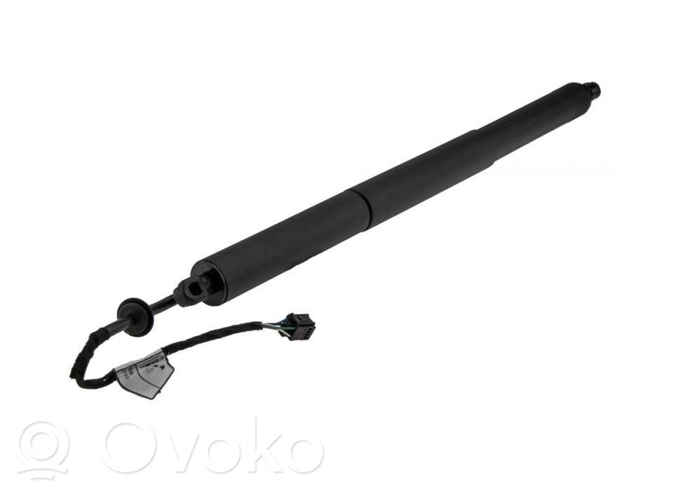 Tailgate/trunk strut/damper   95B827851B