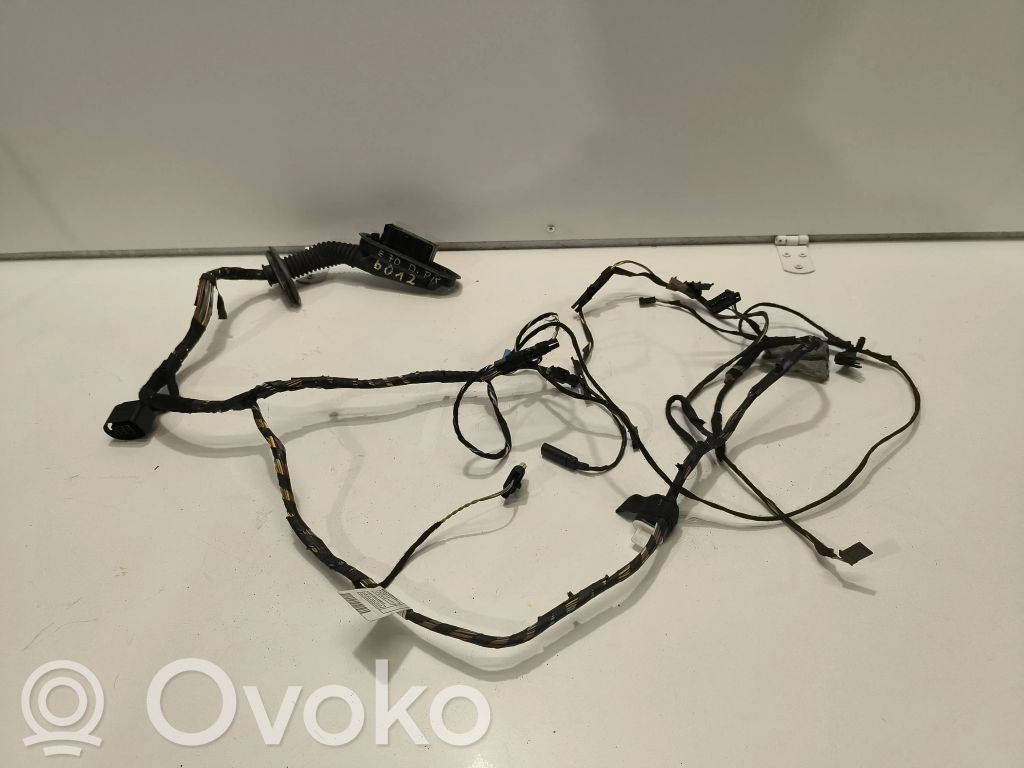BMW X5 E70 Cableado de puerta delantera 