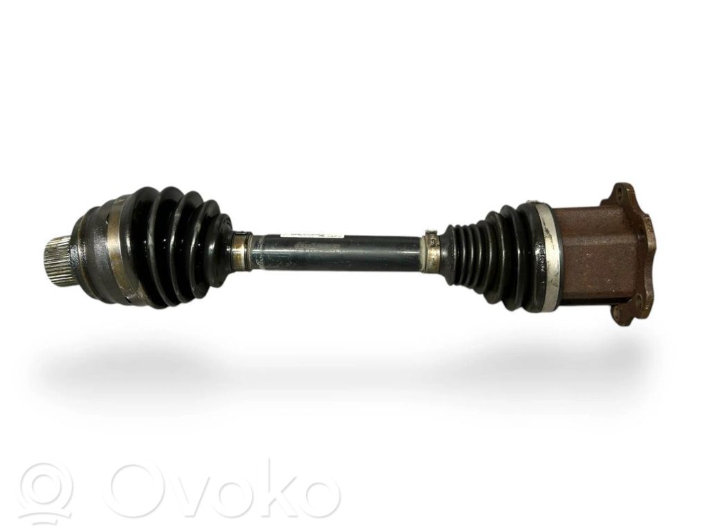 Priekinis pusašis   10260456C