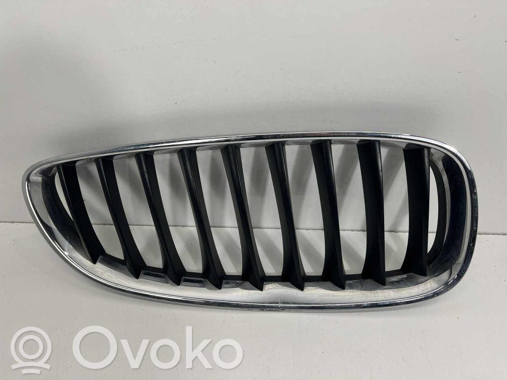 BMW Z4 E89 Front bumper upper radiator grill 
