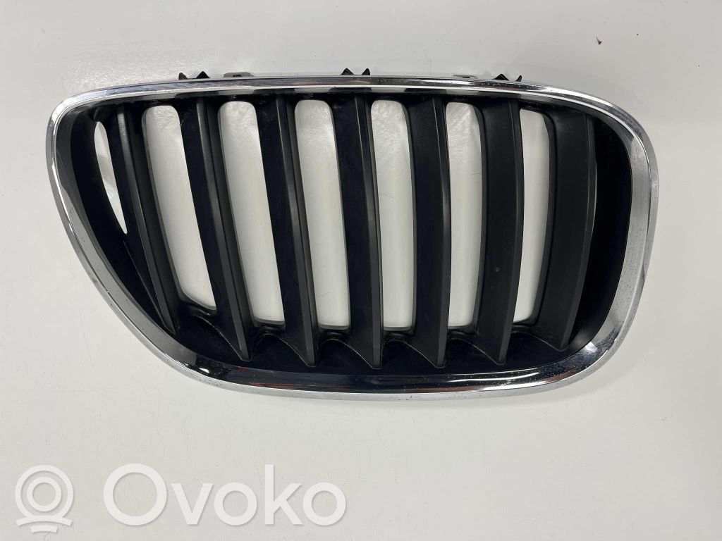 BMW X5 E53 Front bumper upper radiator grill 
