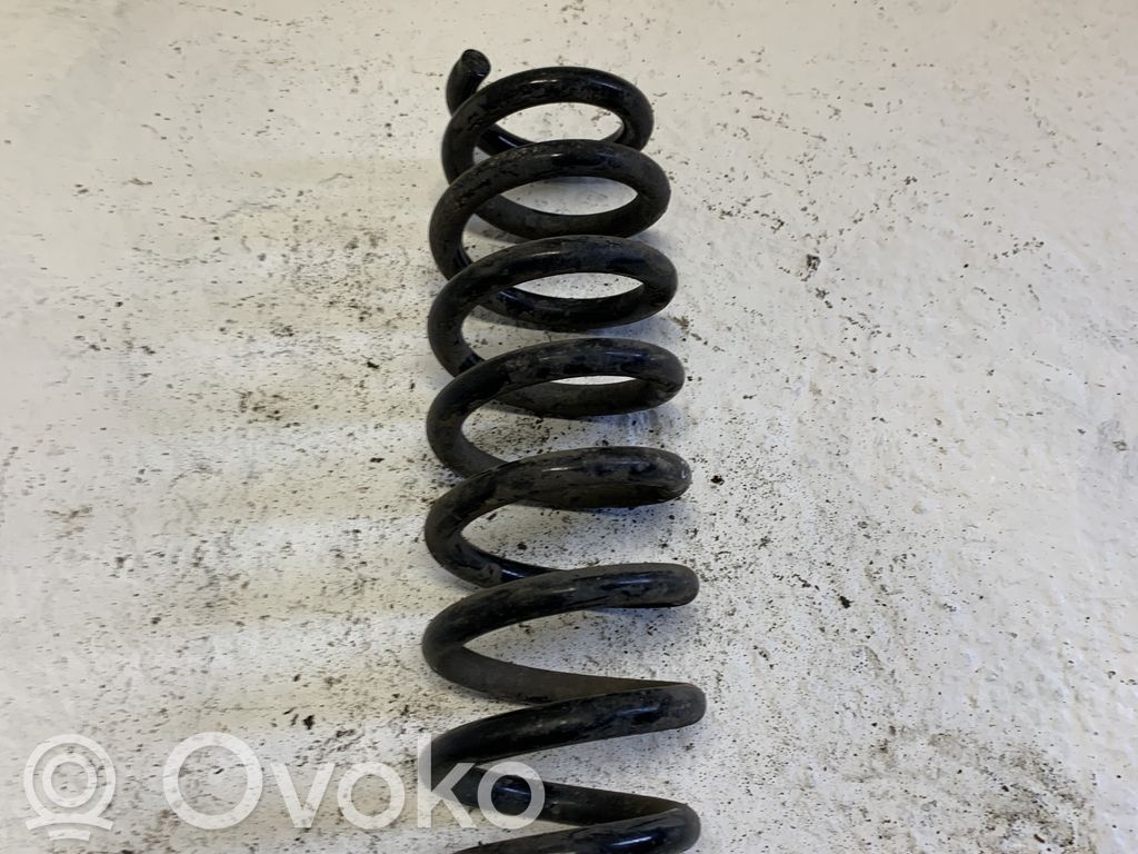 Rear coil spring